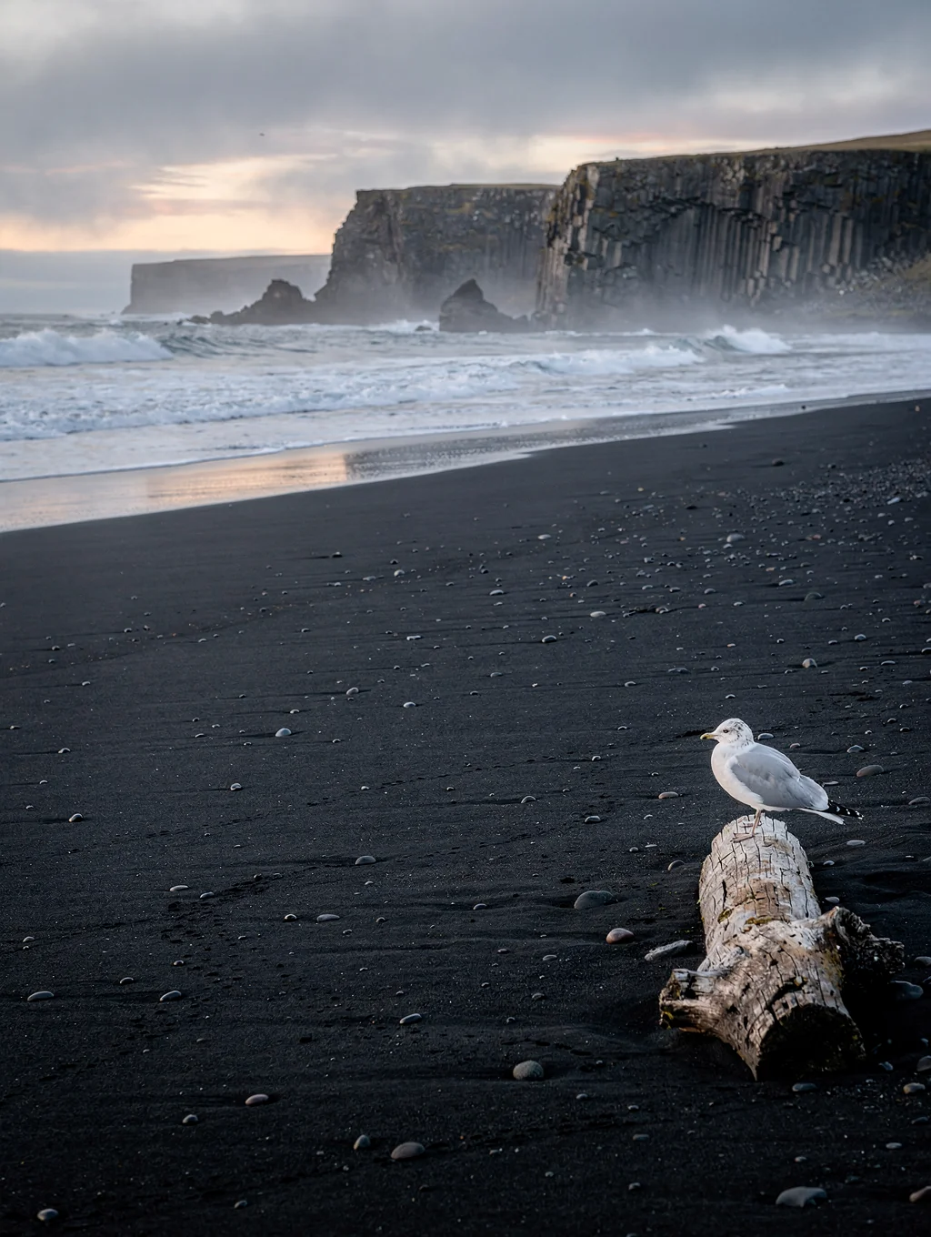 Black sand beach with glacial ice fragments in Iceland